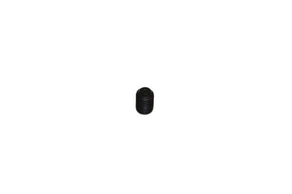 Allen Screw