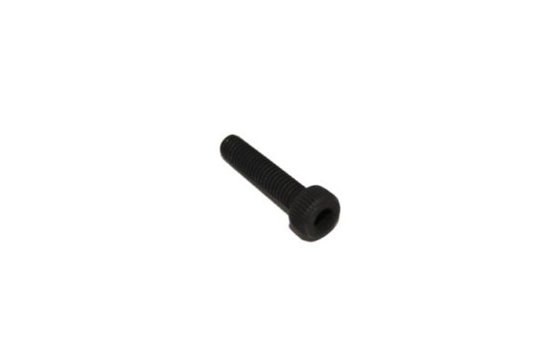 Allen Screw