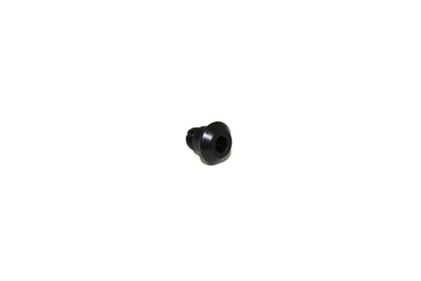 Allen Screw