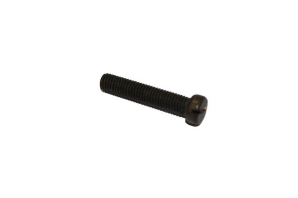 Screw