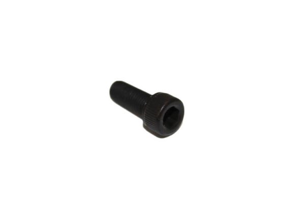 Allen Screw