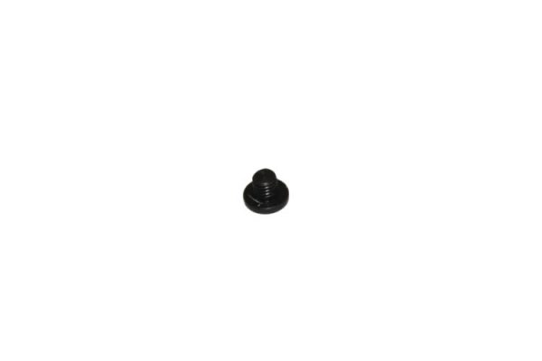 Screw For Presser Foot