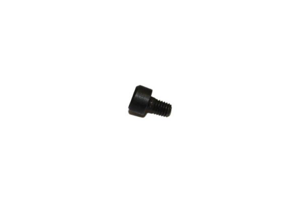 Allen Screw