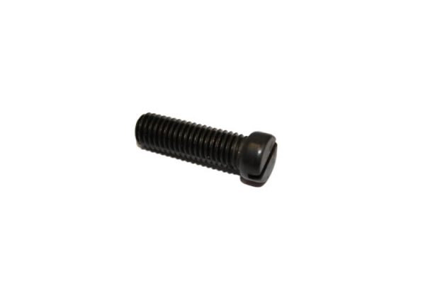 Screw