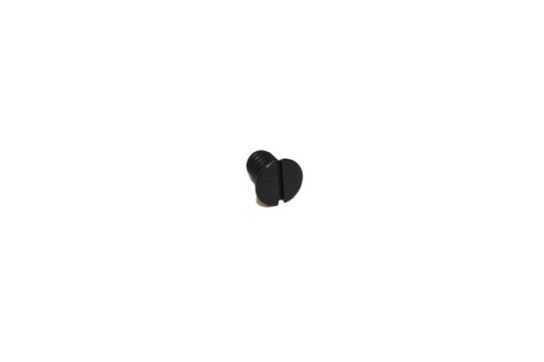 Screw