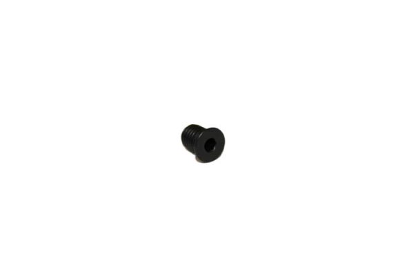 Allen Screw