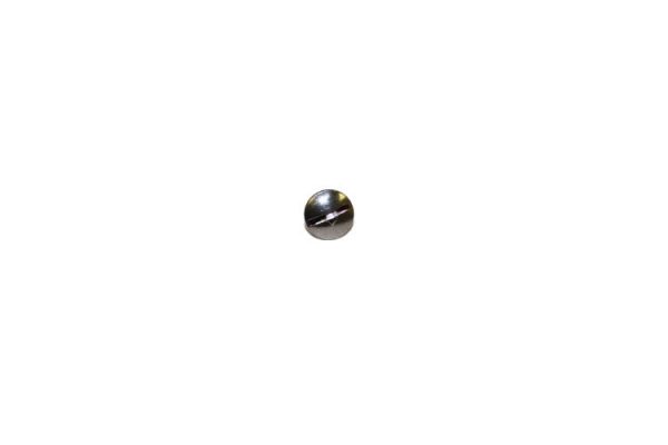 Screw For Wing Plate