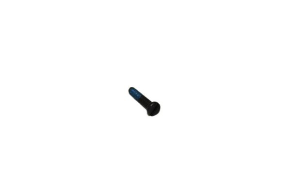 Screw
