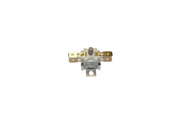 Thermostat For Iron