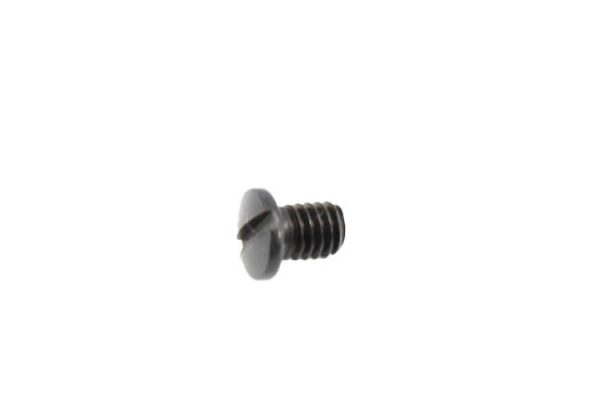 Screw